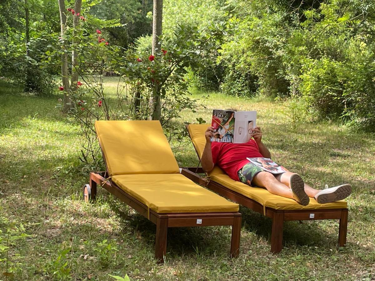 Bastidette Florestane แซ็งต์-เรมีย์-เดอ-โพรวองซ์ ภายนอก รูปภาพ